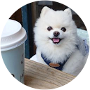 きなこママ きなこママ